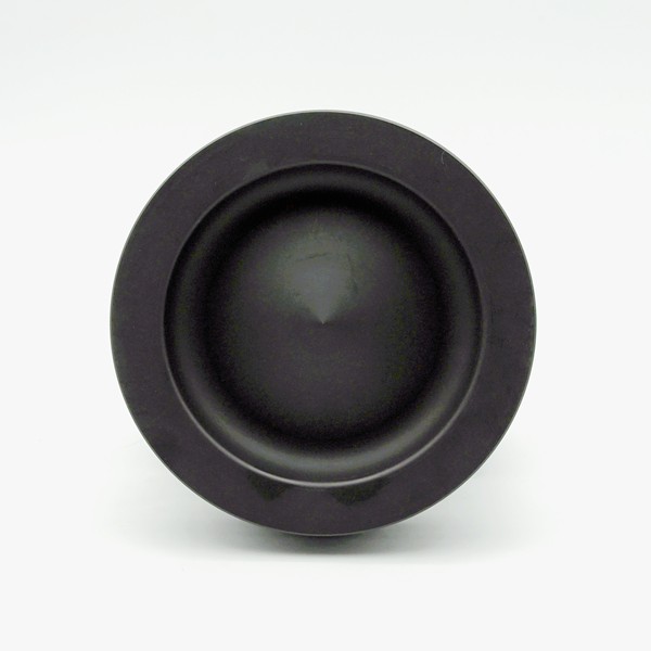 Replacement Part Piston 2995204 Suitable for Caterpillar, New