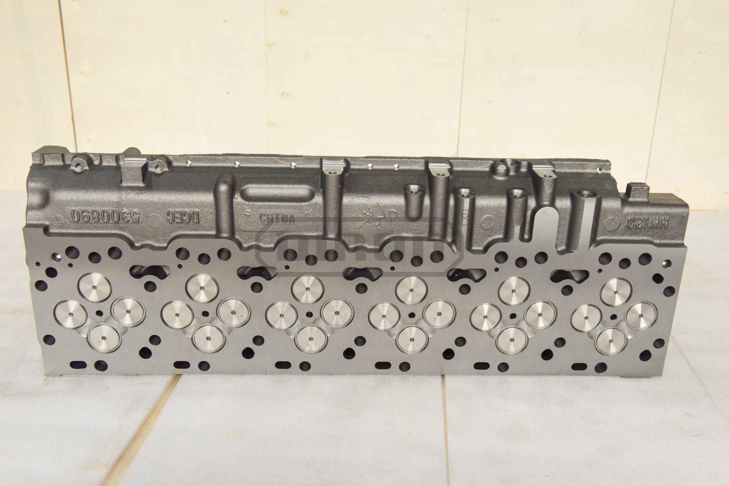 3969734 Cylinder Head Assembly for Heavy Equipment QSC8.3 3800, New